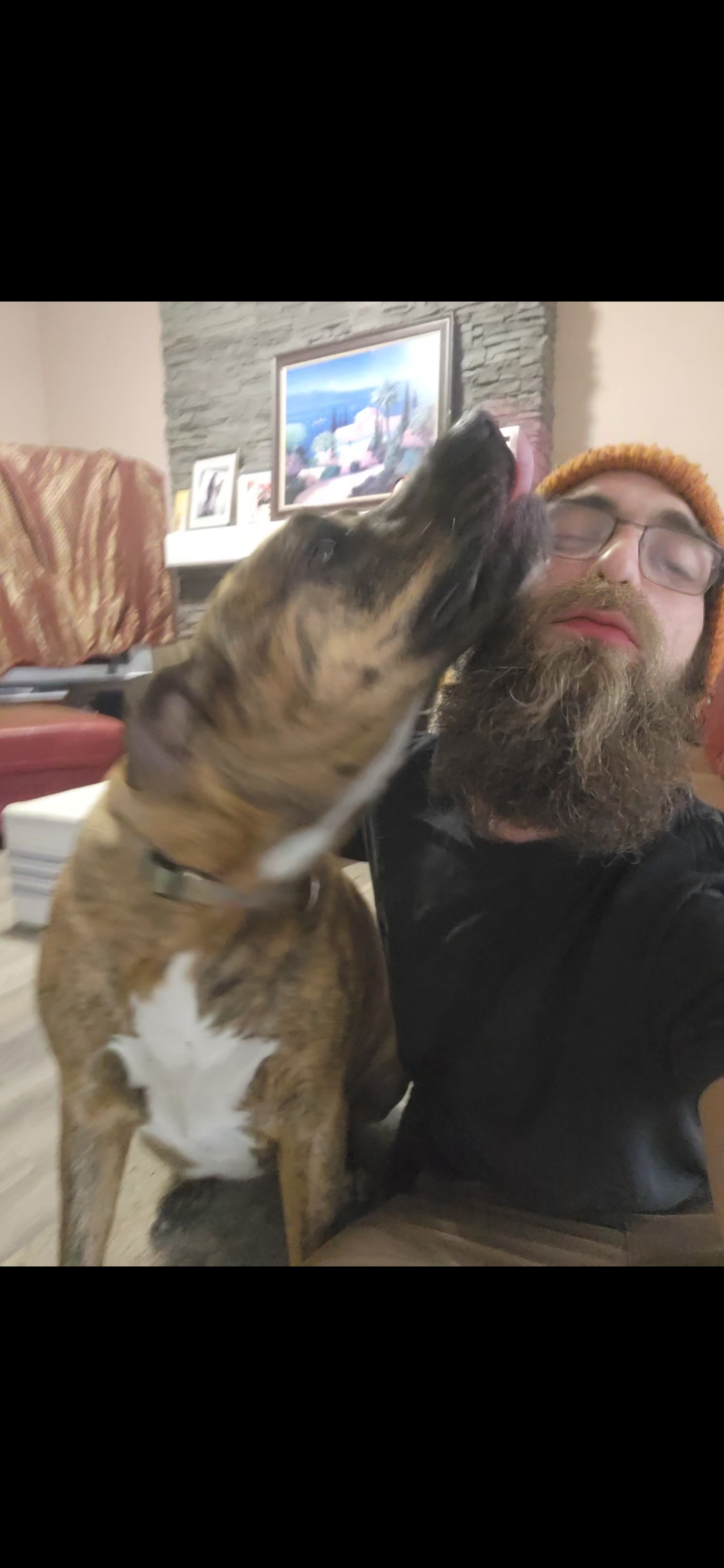 Real client dog training progress