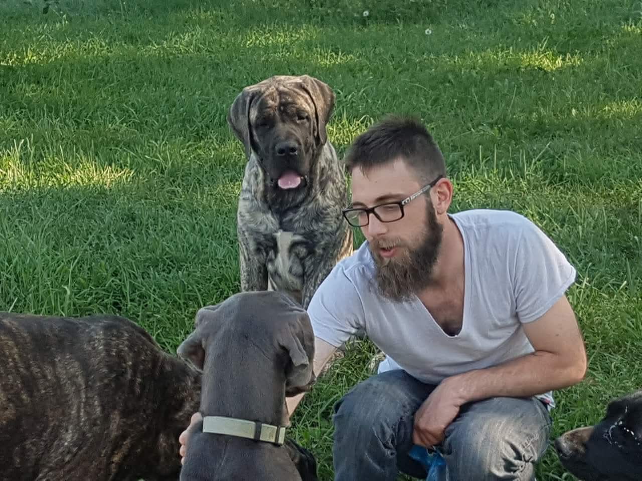 Willis Freeman of Theta K9 working with a dog outdoors — book dog training in Edmonton with balanced training