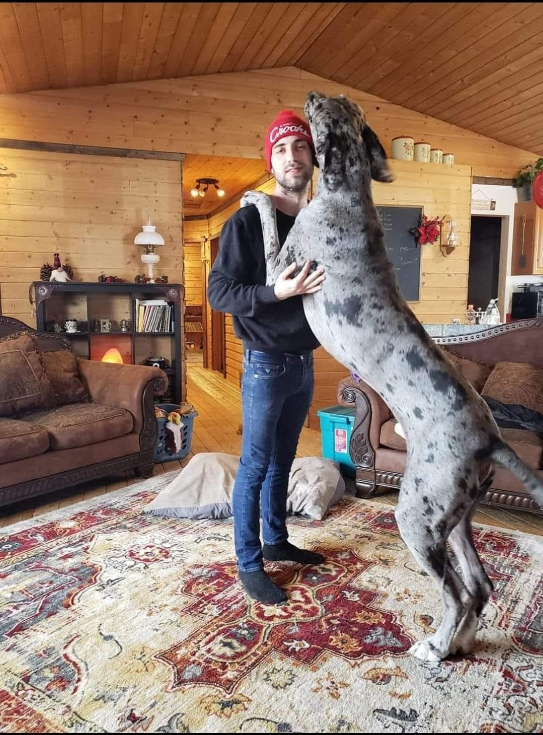 Owner coaching session with Theta K9