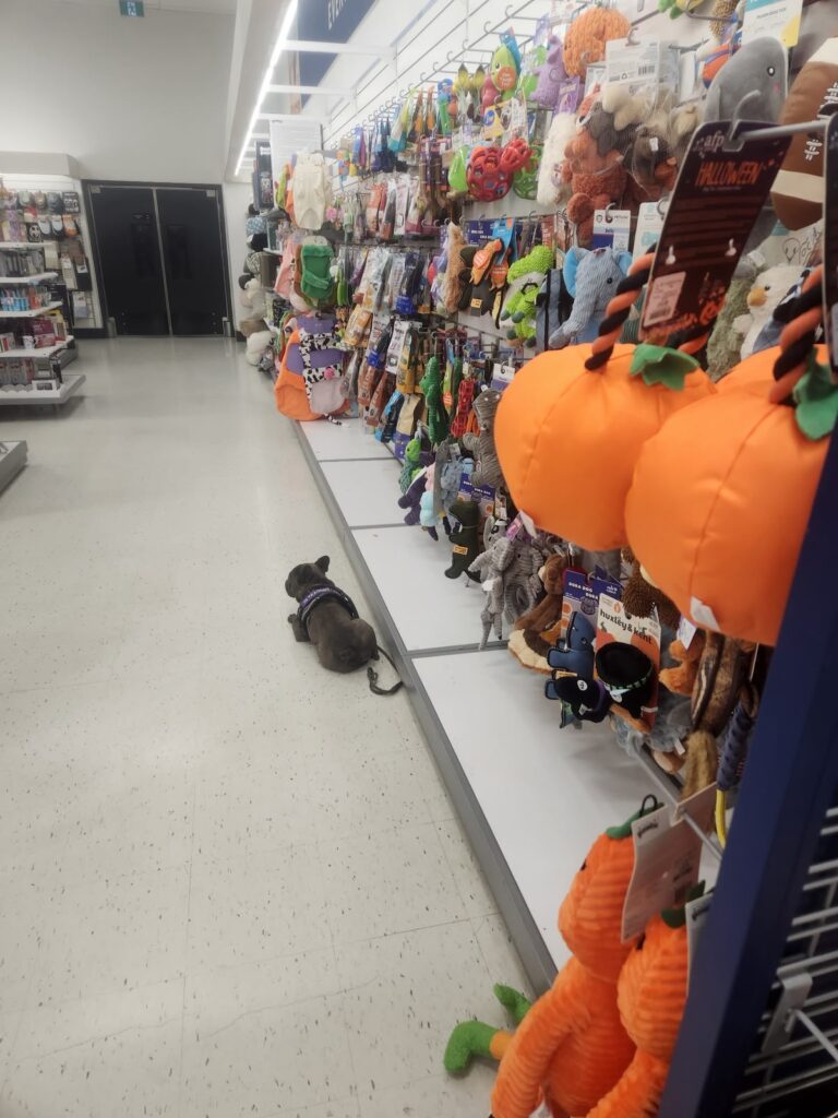 Public access training in a store aisle